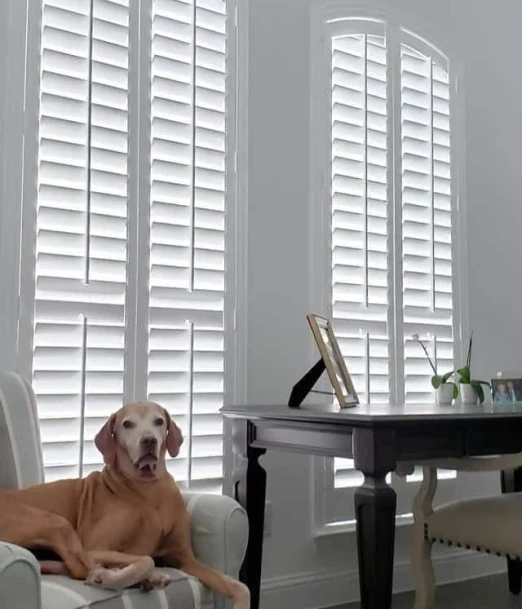 window treatment consultation